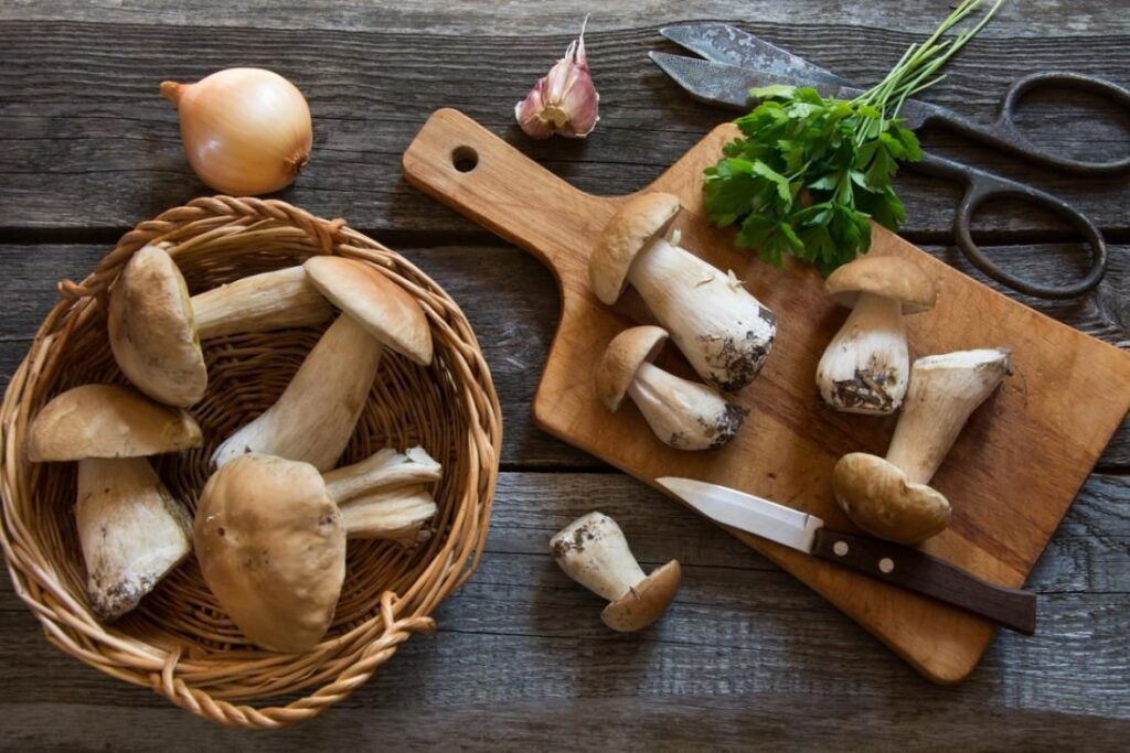 How Mushrooms Can Help You Live A Longer, Healthier Life