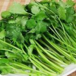 The Health Benefits of Coriander